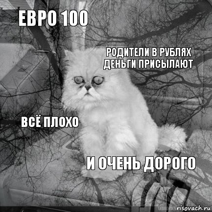 евро 100  родители в рублях деньги присылают  всё плохо  и очень дорого   , Комикс  кот безысходность