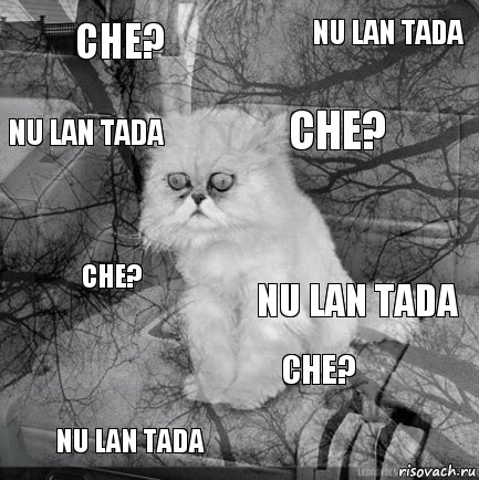 che? nu lan tada che? nu lan tada che? nu lan tada che? nu lan tada  , Комикс  кот безысходность