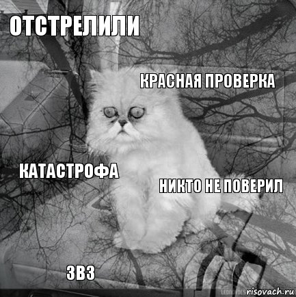 ОТСТРЕЛИЛИ НИКТО НЕ ПОВЕРИЛ КРАСНАЯ ПРОВЕРКА 3в3 КАТАСТРОФА     , Комикс  кот безысходность