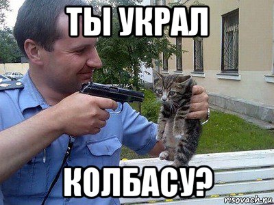 ты украл колбасу?, Мем Кот и мент