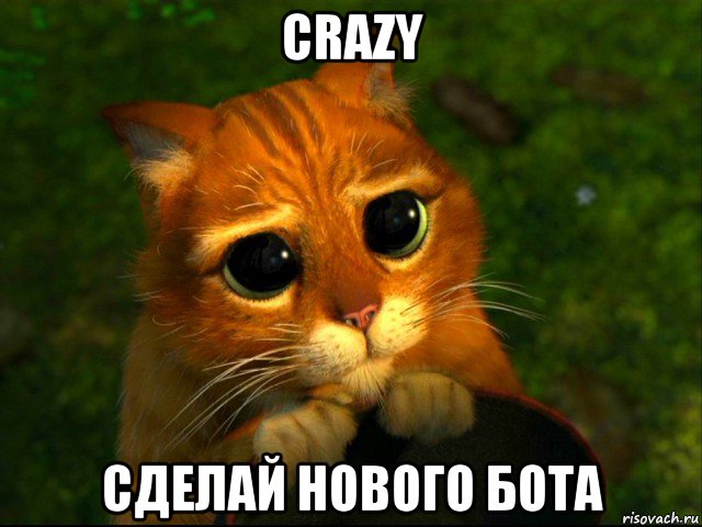 crazy сделай нового бота, Мем кот из шрека