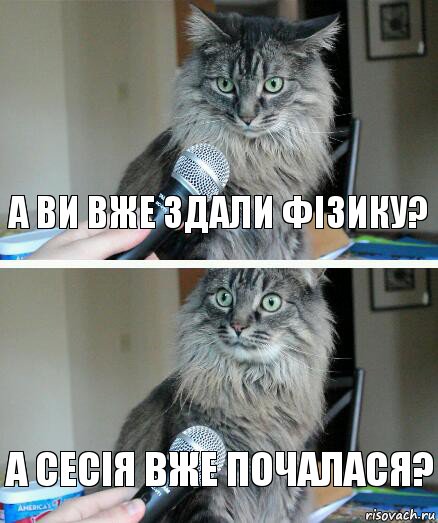 а ви вже здали фізику? а сесія вже почалася?, Комикс  кот с микрофоном