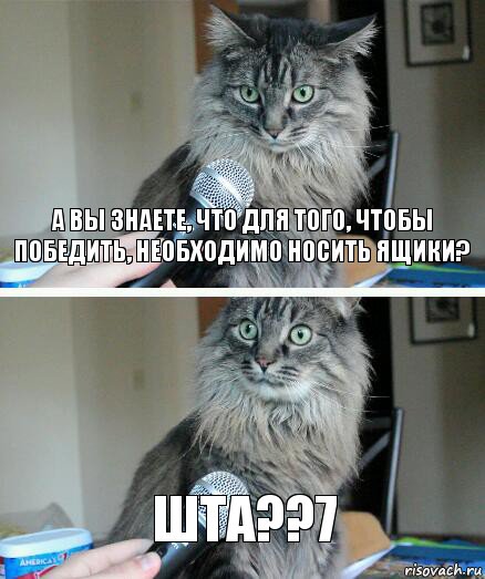 А вы знаете, что для того, чтобы победить, необходимо носить ящики? ШТА??7, Комикс  кот с микрофоном