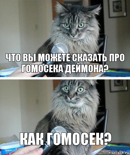 Что вы можете сказать про гомосека Деймона? Как гомосек?, Комикс  кот с микрофоном