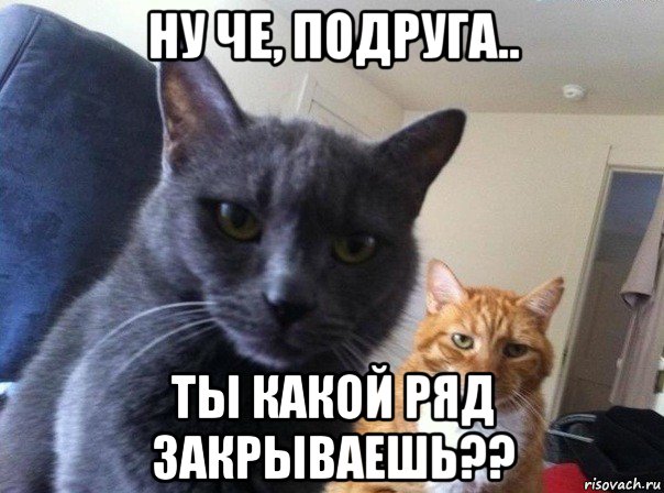 ну че, подруга.. ты какой ряд закрываешь??, Мем  Два котэ