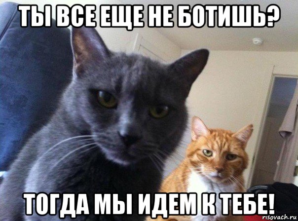 ты все еще не ботишь? тогда мы идем к тебе!