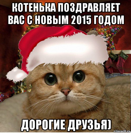 котенька поздравляет вас с новым 2015 годом дорогие друзья)
