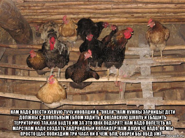  нам надо ввести хуевую тучу иноваций в "океан"!нам нужны зарницы! дети должны с довольным еблом ходить в океанскую школу и ебашить территорию так,как будто им за это xbox подарят! нам надо полететь на марс!нам надо создать андроидный колайдер!нам дохуя чё надо, но мы просто щас попиздим три часа ни о чём. бля, скорей бы обед уже....