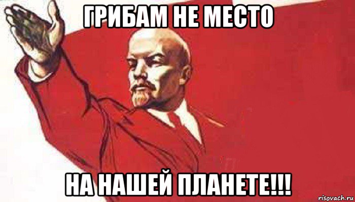 lenin-skandiruet_68472943_orig_.jpg