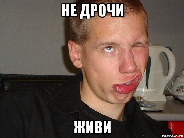 не дрочи живи