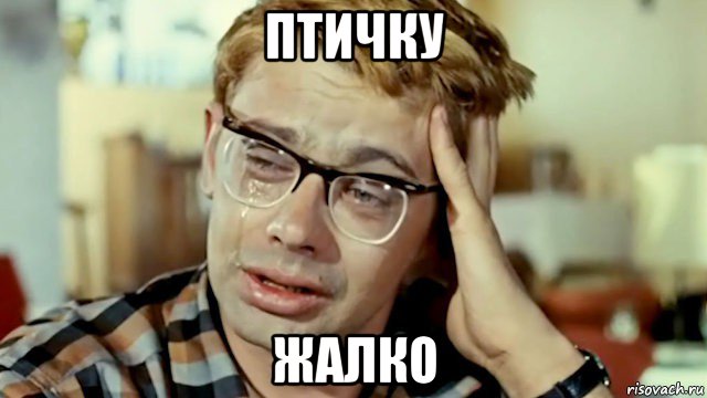 птичку жалко, Мем Марковича жалко - Рисовач .Ру