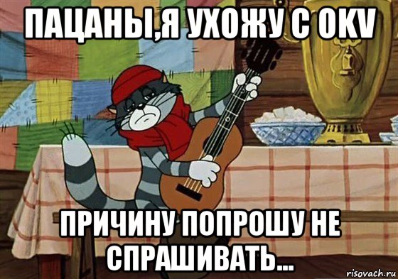 пацаны,я ухожу с okv причину попрошу не спрашивать..., Мем Грустный Матроскин с гитарой