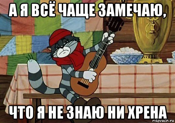 а я всё чаще замечаю, что я не знаю ни хрена, Мем Грустный Матроскин с гитарой