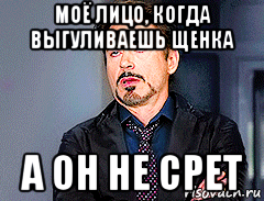 моё лицо, когда выгуливаешь щенка а он не срет