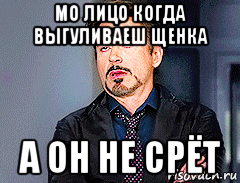 мо лицо когда выгуливаеш щенка а он не срёт