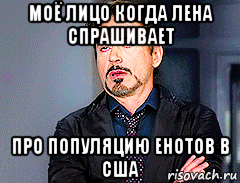 моё лицо когда лена спрашивает про популяцию енотов в сша
