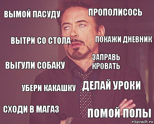 Вымой пасуду Прополисось Выгули собаку сходи в магаз Делай уроки заправь кровать убери какашку помой полы вытри со стола покажи дневник, Комикс мое лицо