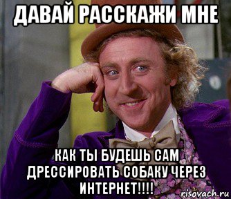 давай расскажи мне как ты будешь сам дрессировать собаку через интернет!!!!, Мем мое лицо