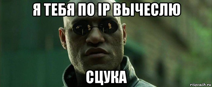 я тебя по ip вычеслю сцука, Мем  морфеус