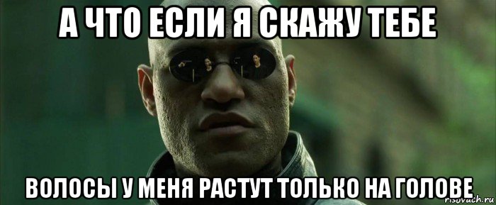 а что если я скажу тебе волосы у меня растут только на голове, Мем  морфеус