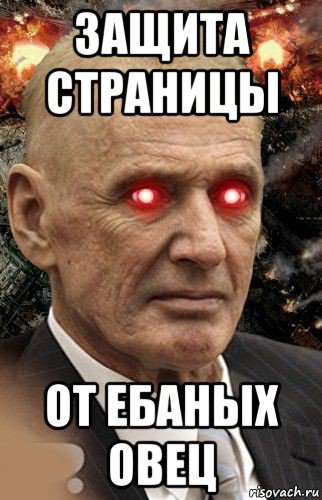 защита страницы от ебаных овец