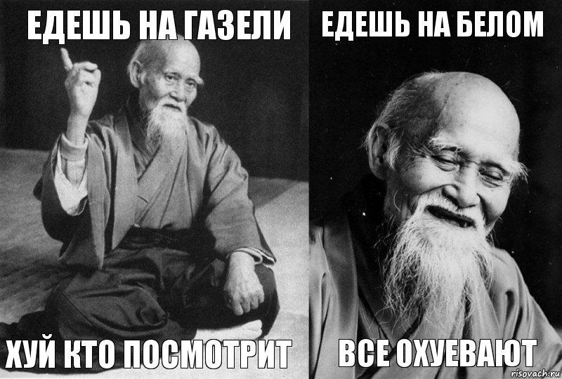 Едешь на газели хуй кто посмотрит Едешь на белом все охуевают, Комикс Мудрец-монах (4 зоны)