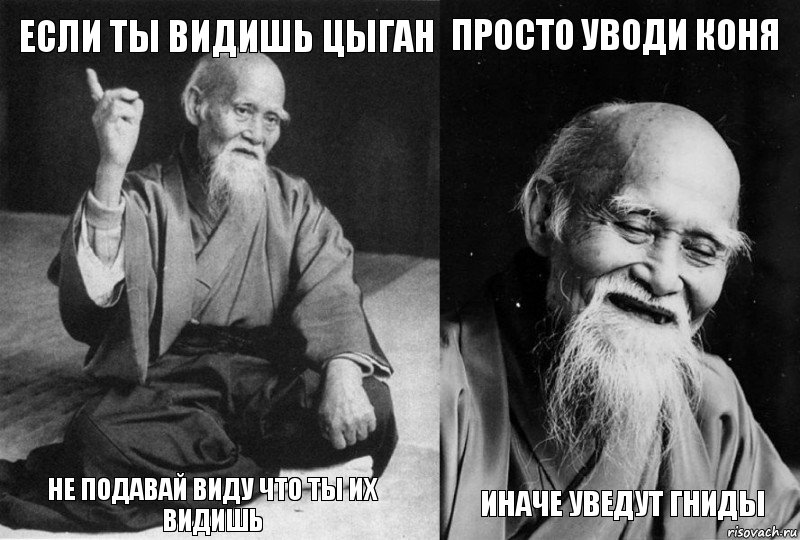 Если ты видишь цыган не подавай виду что ты их видишь просто уводи коня иначе уведут гниды, Комикс Мудрец-монах (4 зоны)