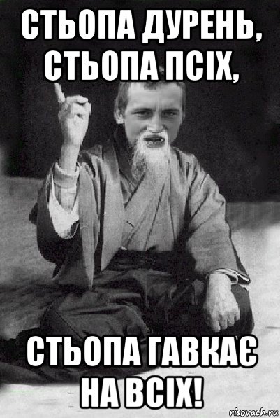 стьопа дурень, стьопа псіх, стьопа гавкає на всіх!, Мем Мудрий паца