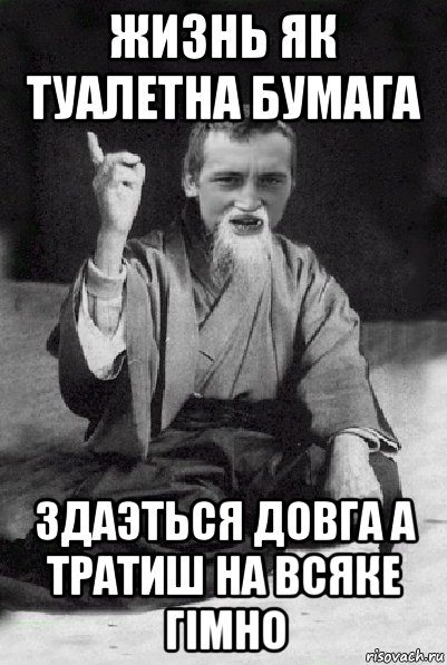 жизнь як туалетна бумага здаэться довга а тратиш на всяке гімно, Мем Мудрий паца