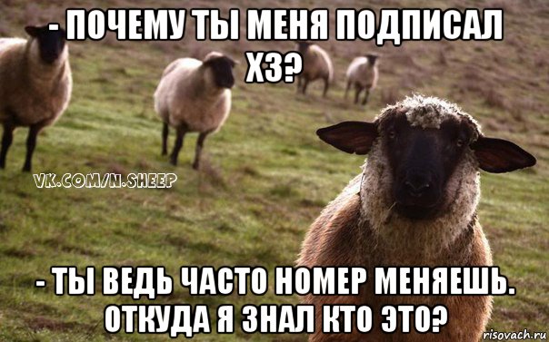 - почему ты меня подписал хз? - ты ведь часто номер меняешь. откуда я знал кто это?