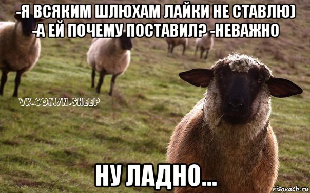 -я всяким шлюхам лайки не ставлю) -а ей почему поставил? -неважно ну ладно..., Мем  Наивная Овца