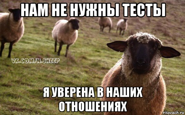 нам не нужны тесты я уверена в наших отношениях