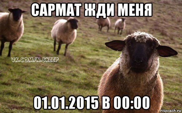 сармат жди меня 01.01.2015 в 00:00, Мем  Наивная Овца