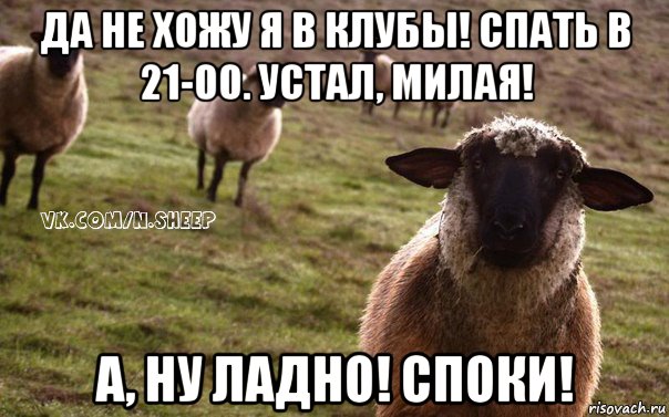 да не хожу я в клубы! спать в 21-00. устал, милая! а, ну ладно! споки!, Мем  Наивная Овца