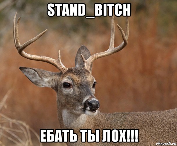 stand_bitch ебать ты лох!!!, Мем  Наивный Олень v2