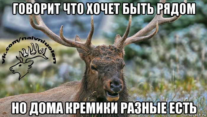 говорит что хочет быть рядом но дома кремики разные есть