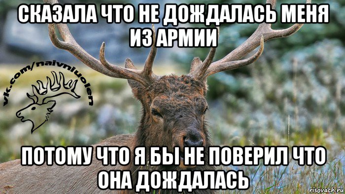сказала что не дождалась меня из армии потому что я бы не поверил что она дождалась