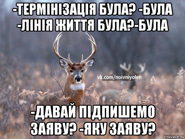 -термінізація була? -була -лінія життя була?-була -давай підпишемо заяву? -яку заяву?, Мем Наивный Олень vk