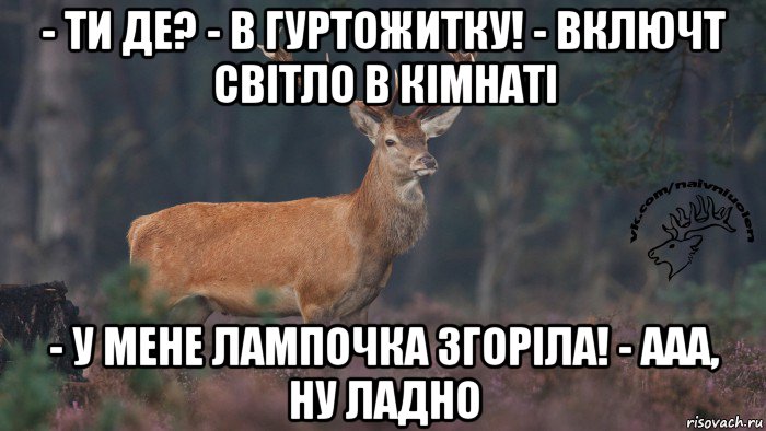 - ти де? - в гуртожитку! - включт світло в кімнаті - у мене лампочка згоріла! - ааа, ну ладно, Мем Наивный олень v3