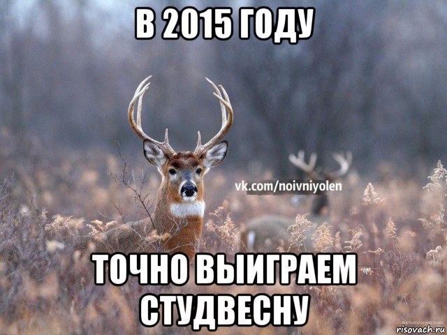 в 2015 году точно выиграем студвесну, Мем Наивный Олень vk