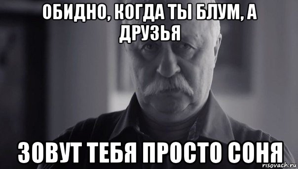 обидно, когда ты блум, а друзья зовут тебя просто соня, Мем Не огорчай Леонида Аркадьевича