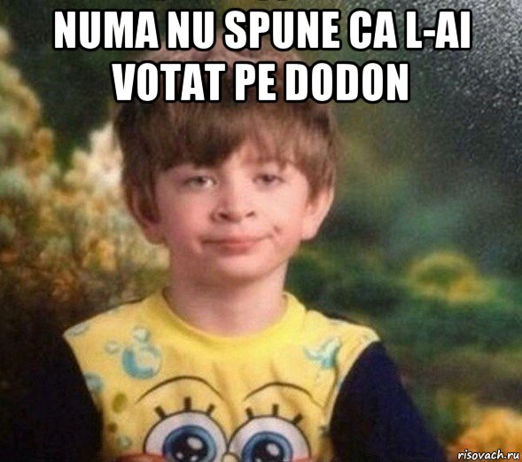 numa nu spune ca l-ai votat pe dodon , Мем Недовольный пацан