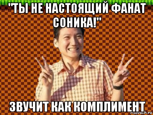 "ты не настоящий фанат соника!" звучит как комплимент