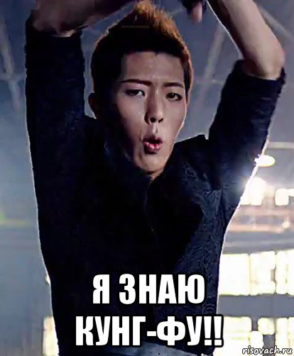  я знаю кунг-фу!!, Мем Нико