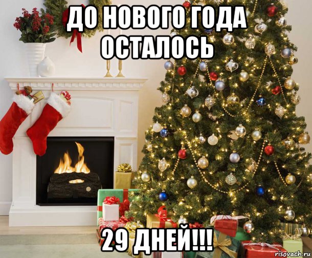 до нового года осталось 29 дней!!!