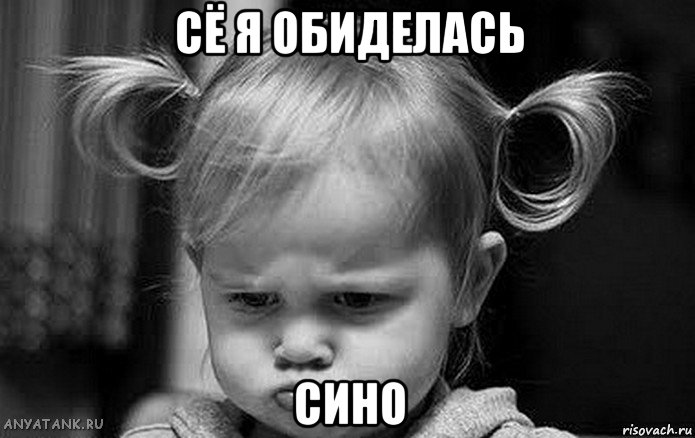 сё я обиделась сино