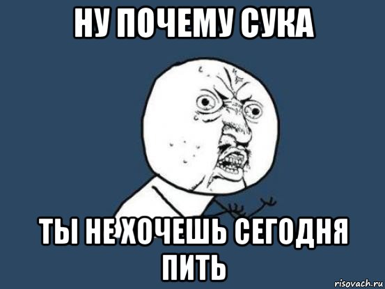 ну почему сука ты не хочешь сегодня пить, Мем Ну почему