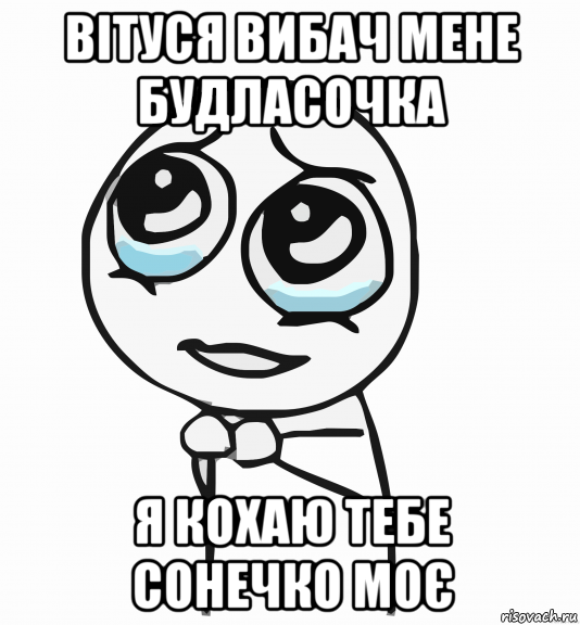 вітуся вибач мене будласочка я кохаю тебе сонечко моє, Мем  ну пожалуйста (please)