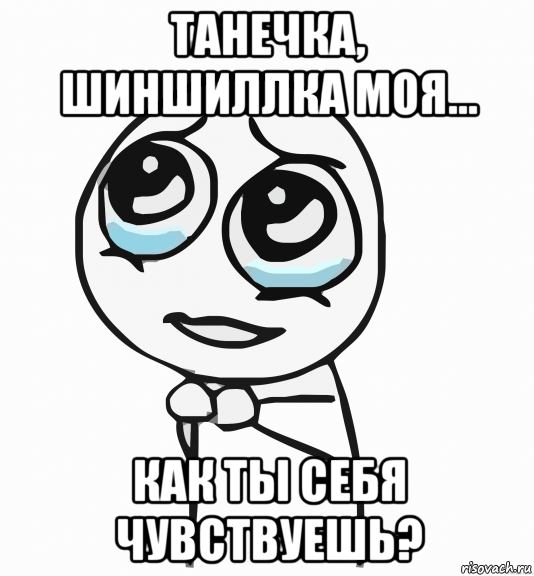 танечка, шиншиллка моя... как ты себя чувствуешь?, Мем  ну пожалуйста (please)