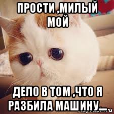 прости ,милый мой дело в том ,что я разбила машину...., Мем Няшный кот